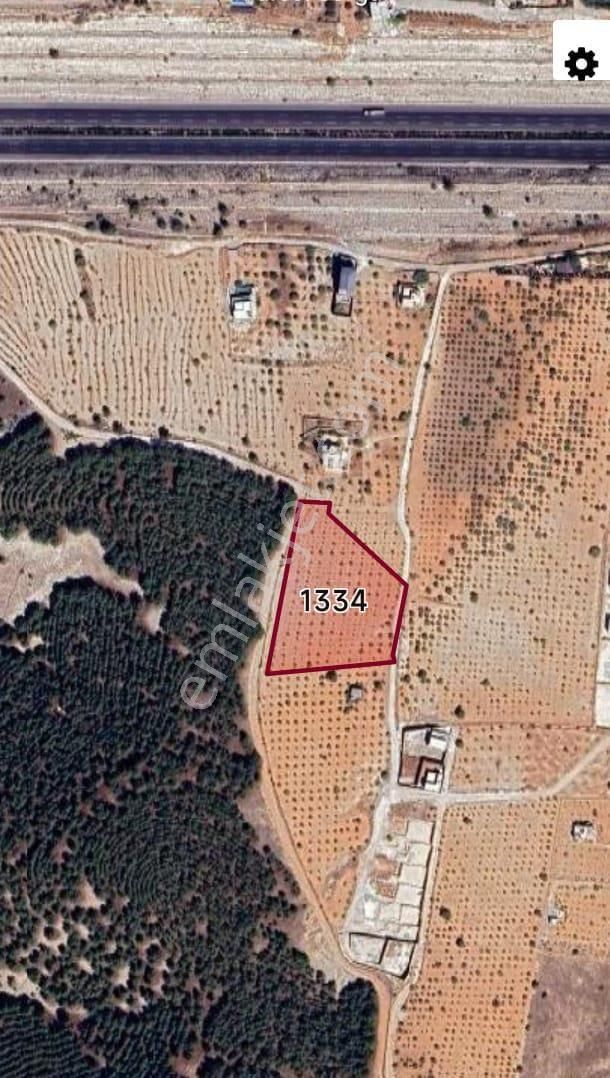 World İlkevim'den Ormana Sıfır Gülpınarda 6.341 M² Satılık Arsa