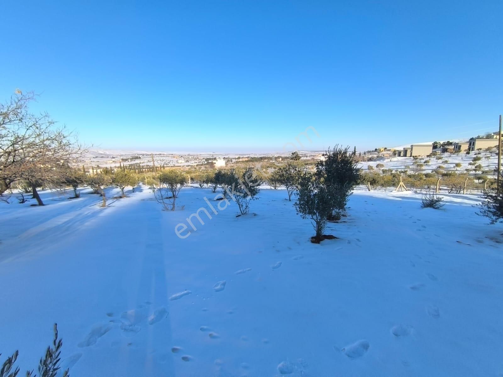 World İlkevim'den Ormana Sıfır Gülpınarda 6.341 M² Satılık Arsa - Görsel 14