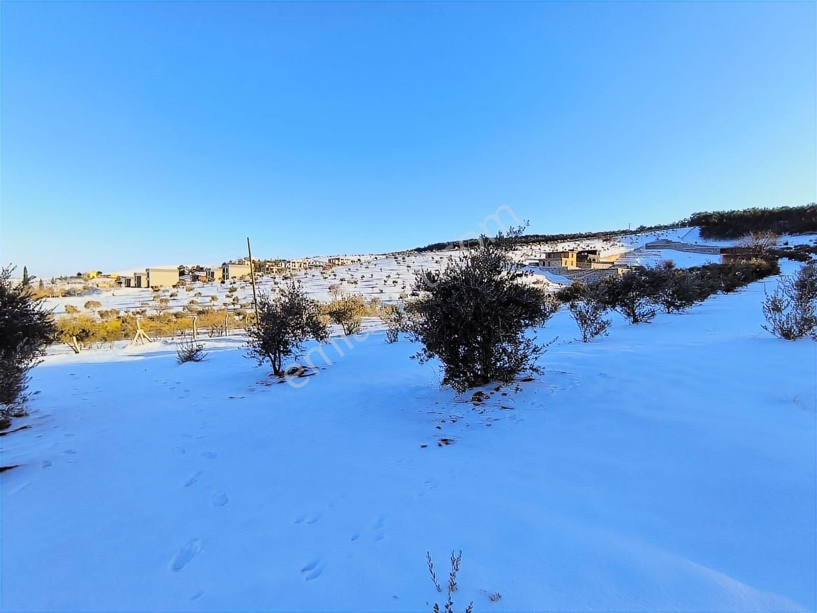 World İlkevim'den Ormana Sıfır Gülpınarda 6.341 M² Satılık Arsa - Görsel 12