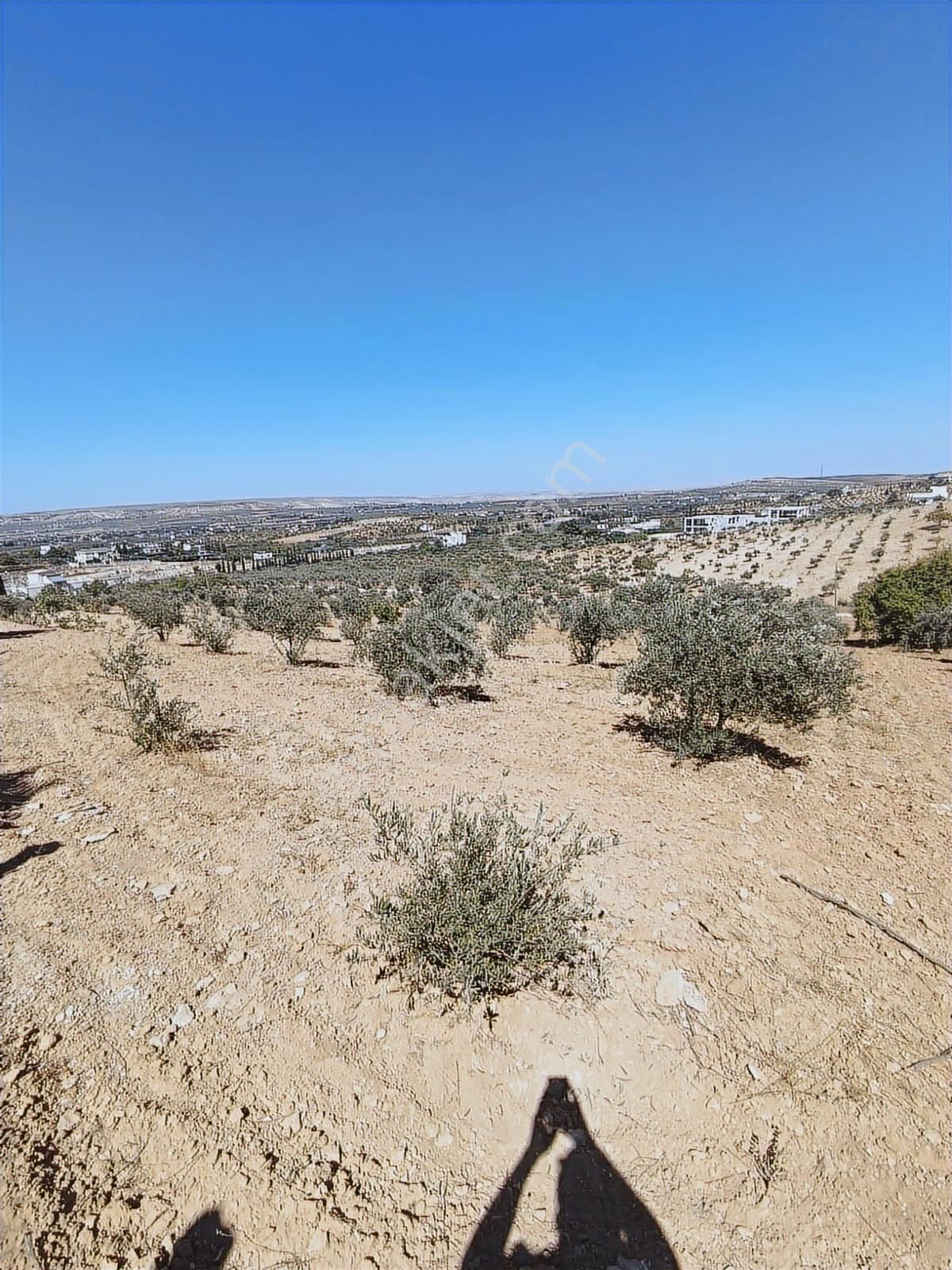 World İlkevim'den Ormana Sıfır Gülpınarda 6.341 M² Satılık Arsa - Görsel 4