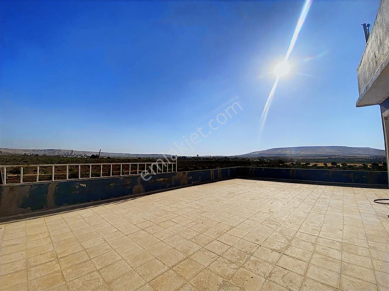 World İlkevimden Yarımtepede Yatırımlık Fıstıklık (videolu) - Görsel 17