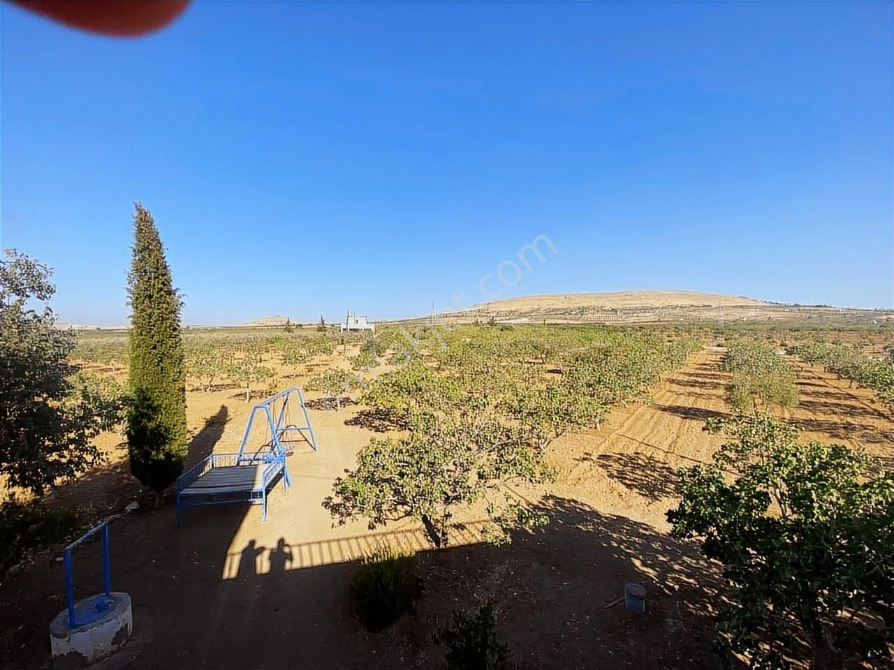 World İlkevimden Yarımtepede Yatırımlık Fıstıklık (videolu) - Görsel 14