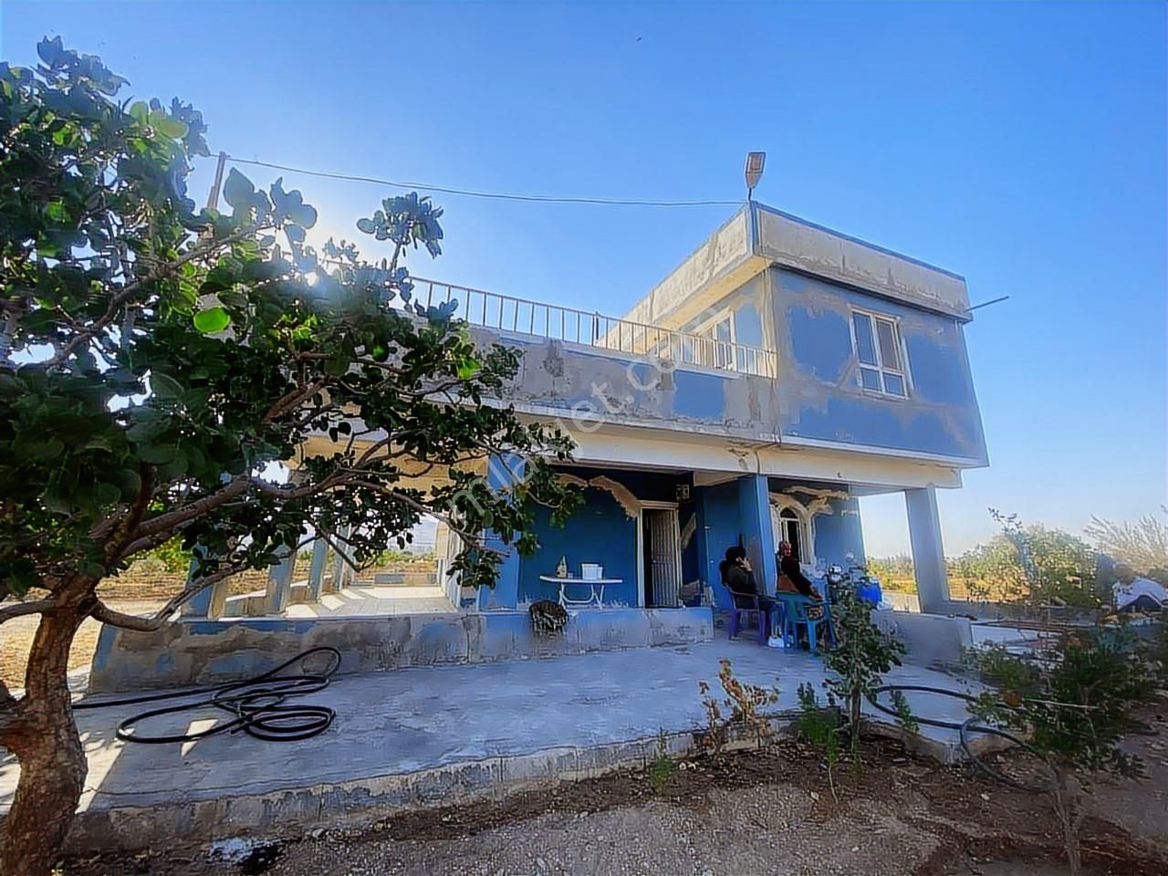 World İlkevimden Yarımtepede Yatırımlık Fıstıklık (videolu) - Görsel 3