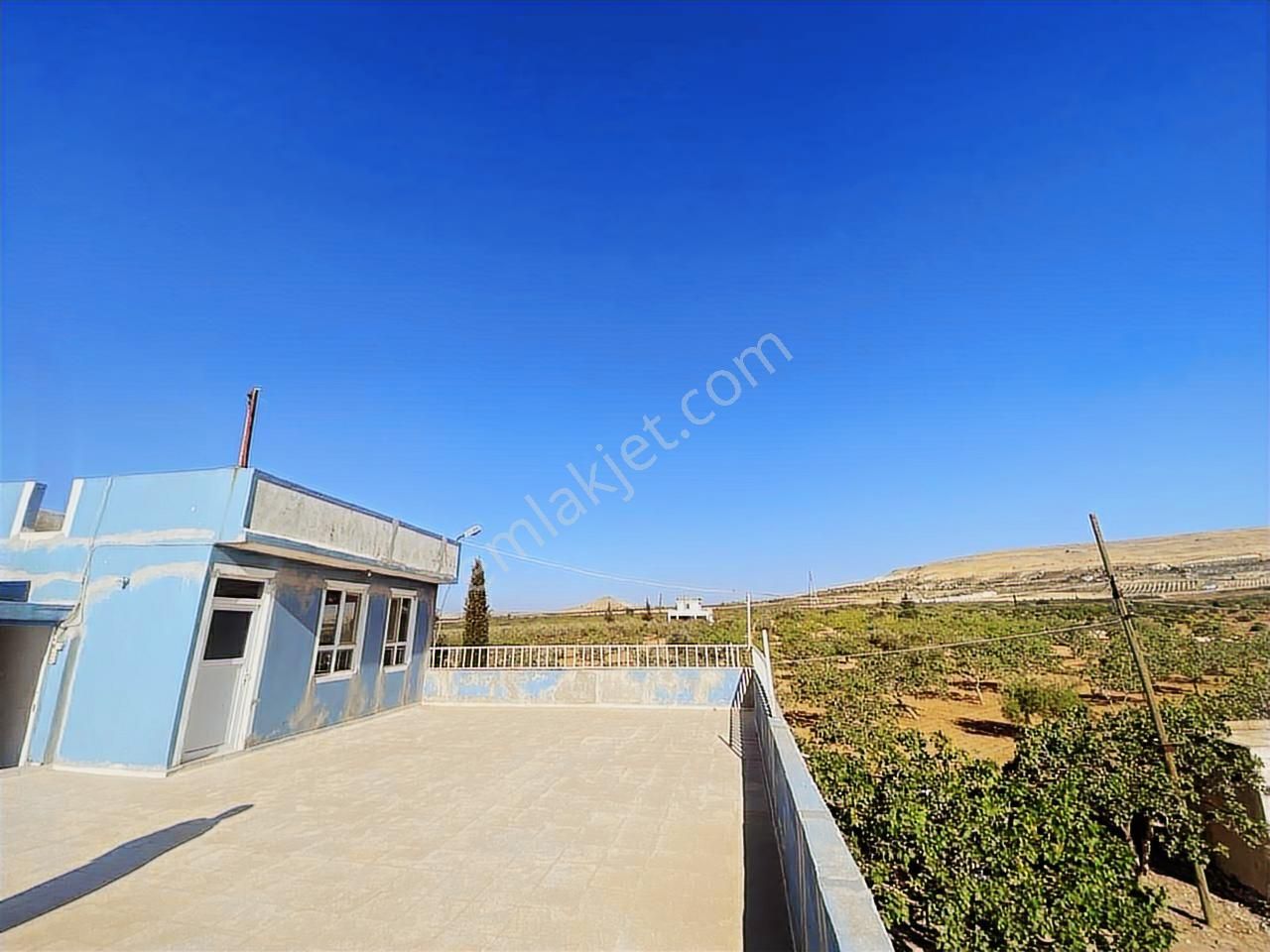 World İlkevimden Yarımtepede Yatırımlık Fıstıklık (videolu) - Görsel 11