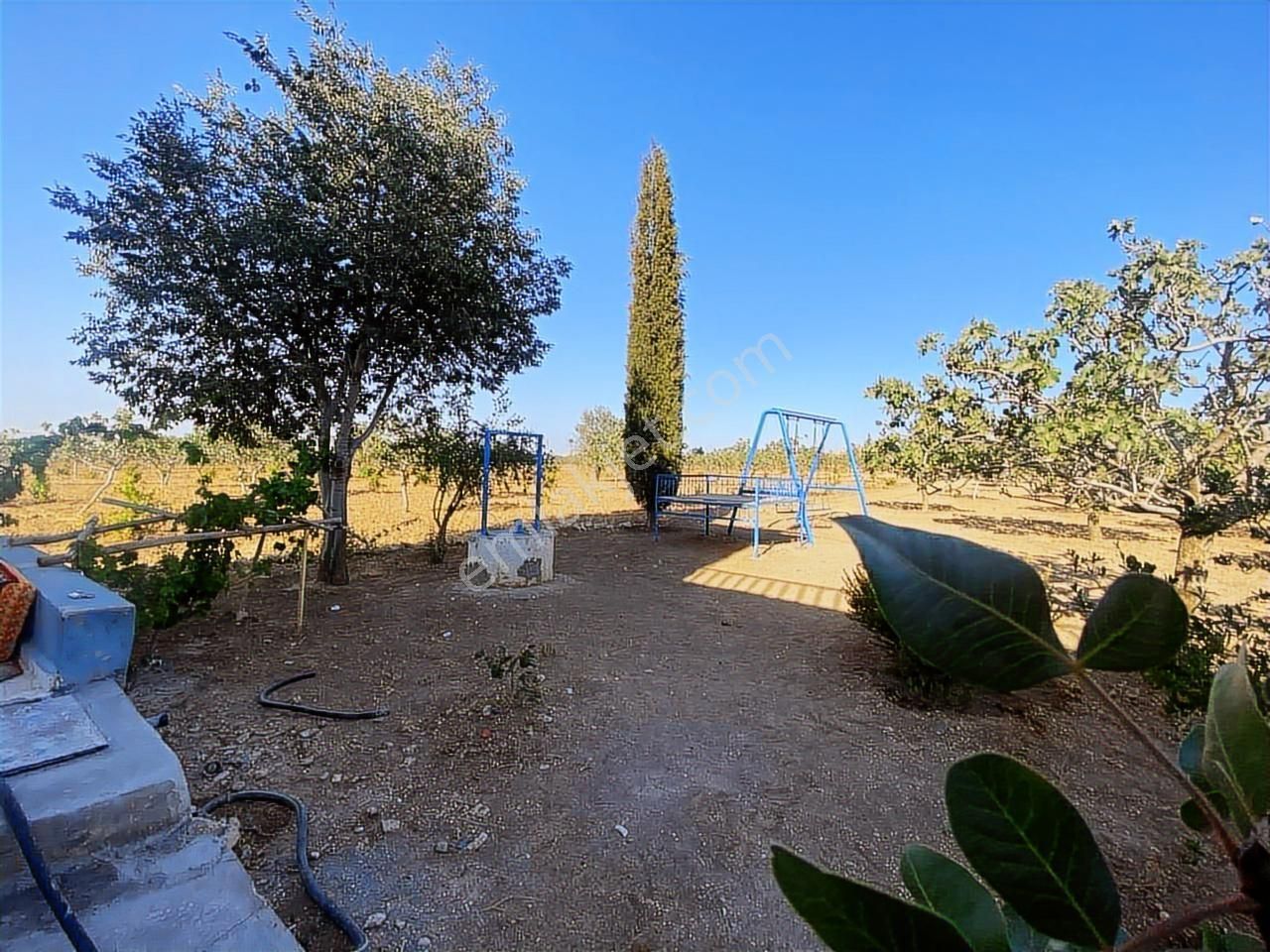 World İlkevimden Yarımtepede Yatırımlık Fıstıklık (videolu) - Görsel 15