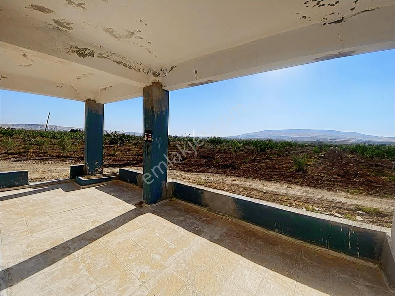 World İlkevimden Yarımtepede Yatırımlık Fıstıklık (videolu) - Görsel 19