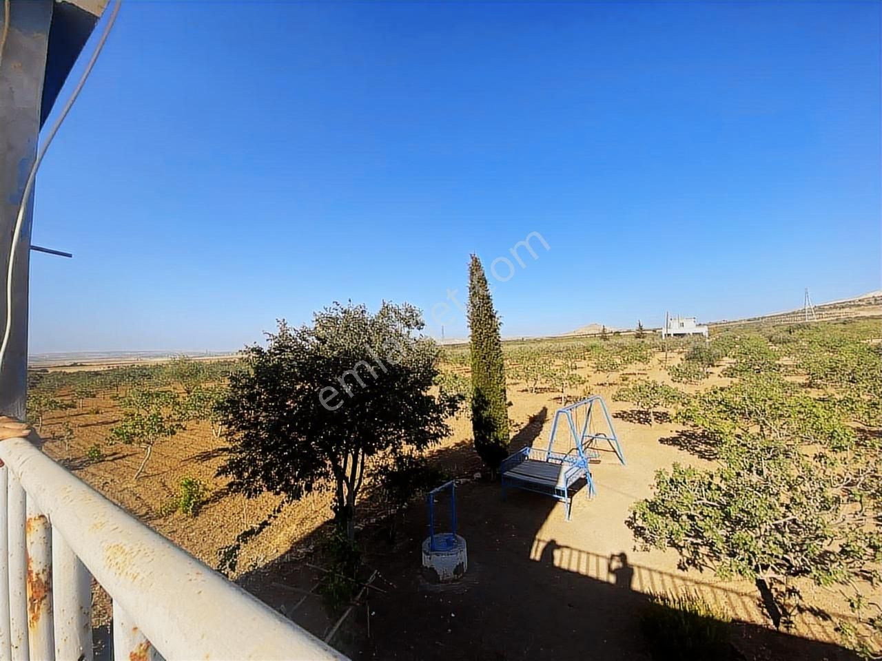 World İlkevimden Yarımtepede Yatırımlık Fıstıklık (videolu) - Görsel 10