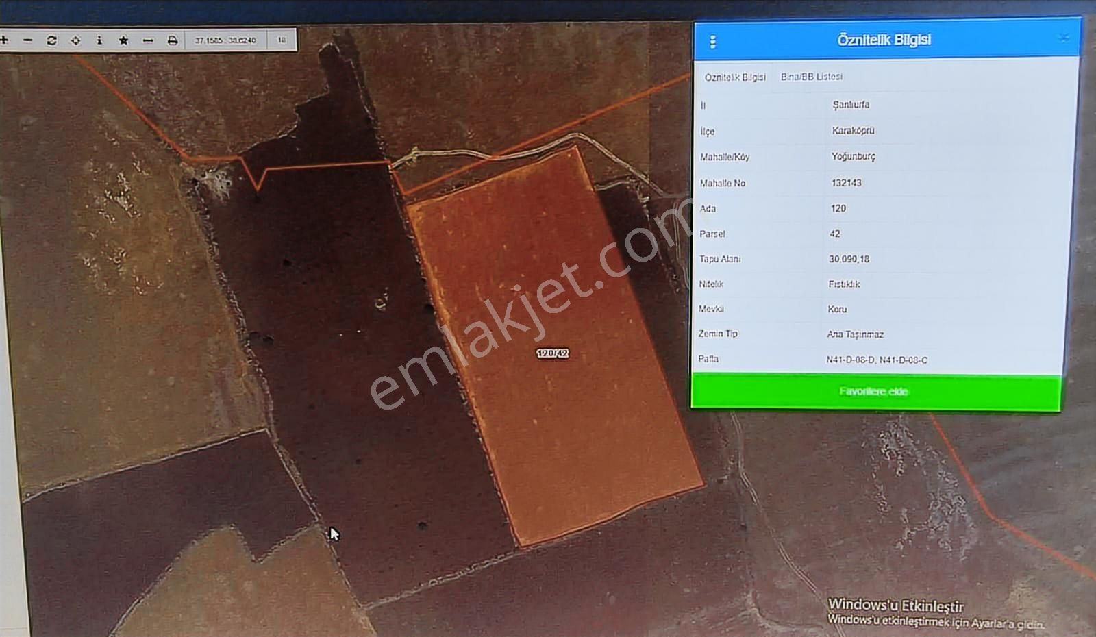 World İlkevim'den 35 Dönüm Fıstık Tarlası - Görsel 6