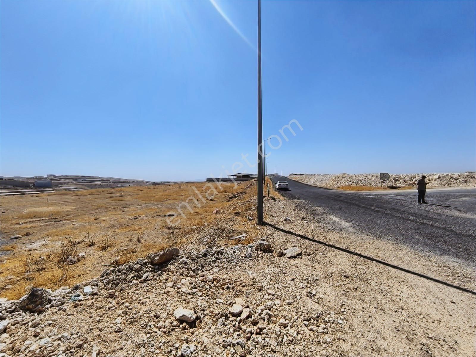 World İlkevim'den Organize Besi'de Yatırımlık Çiftlik Arsası! - Görsel 9