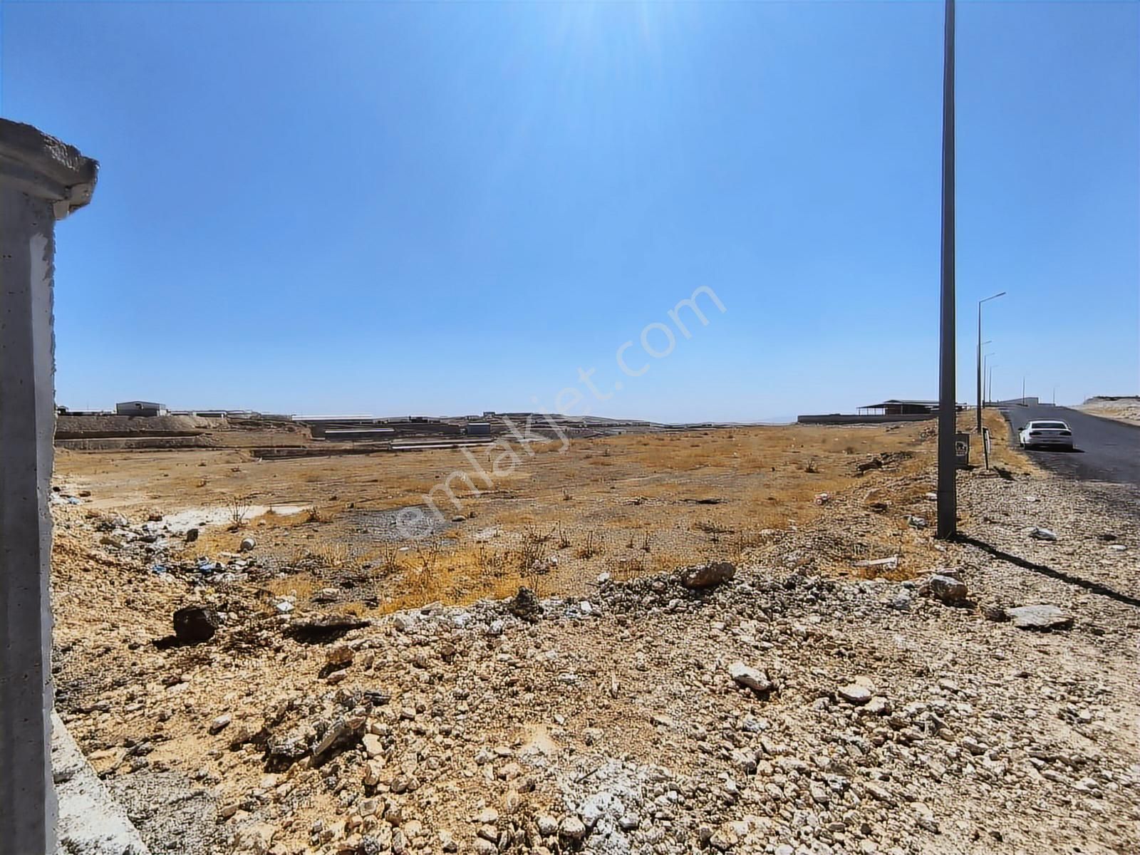 World İlkevim'den Organize Besi'de Yatırımlık Çiftlik Arsası! - Görsel 3