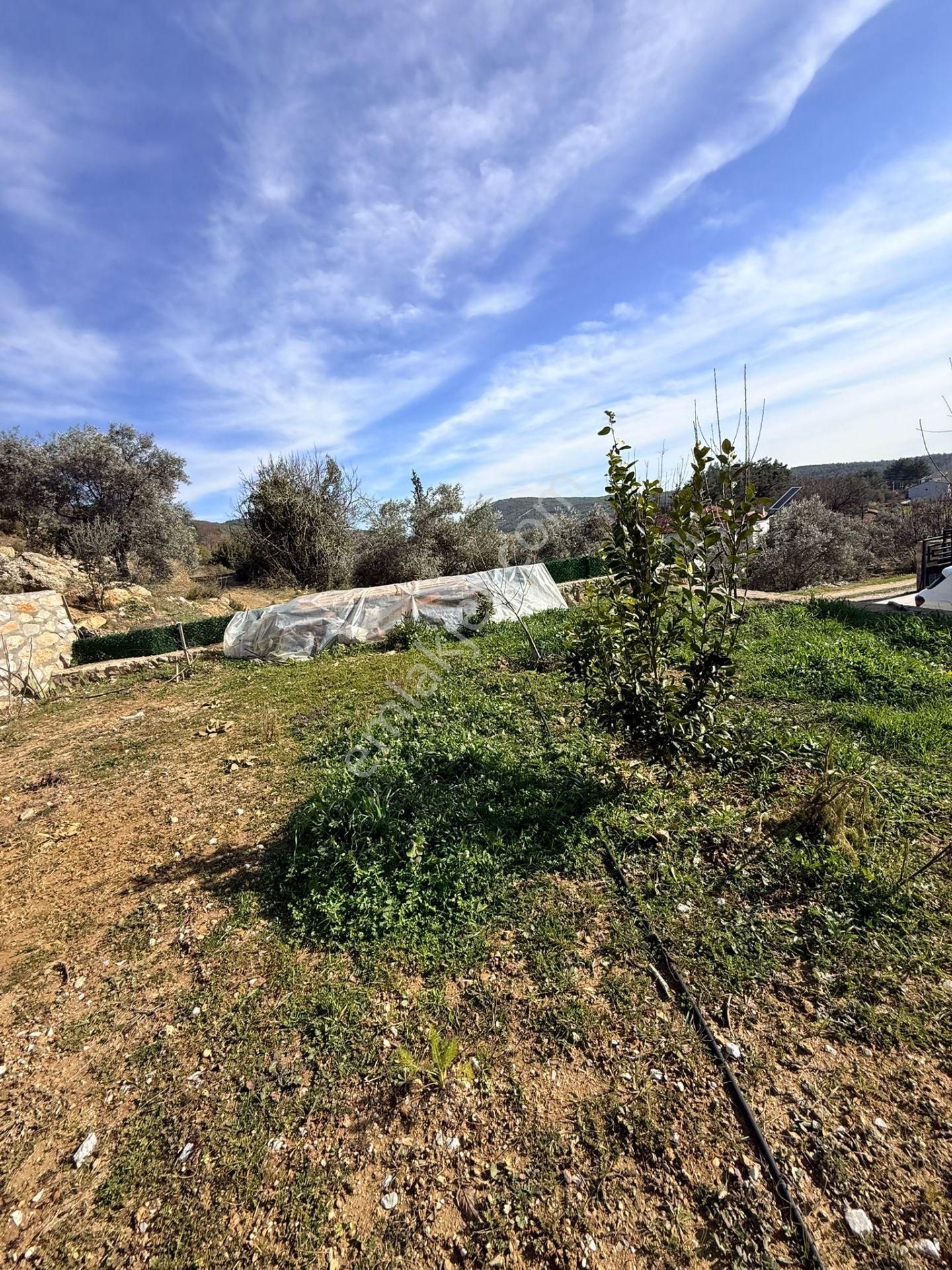 Muğla Ula Kızılağaçta Geniş Arsa Paylı 3+1 Satılık Daire - Görsel 7