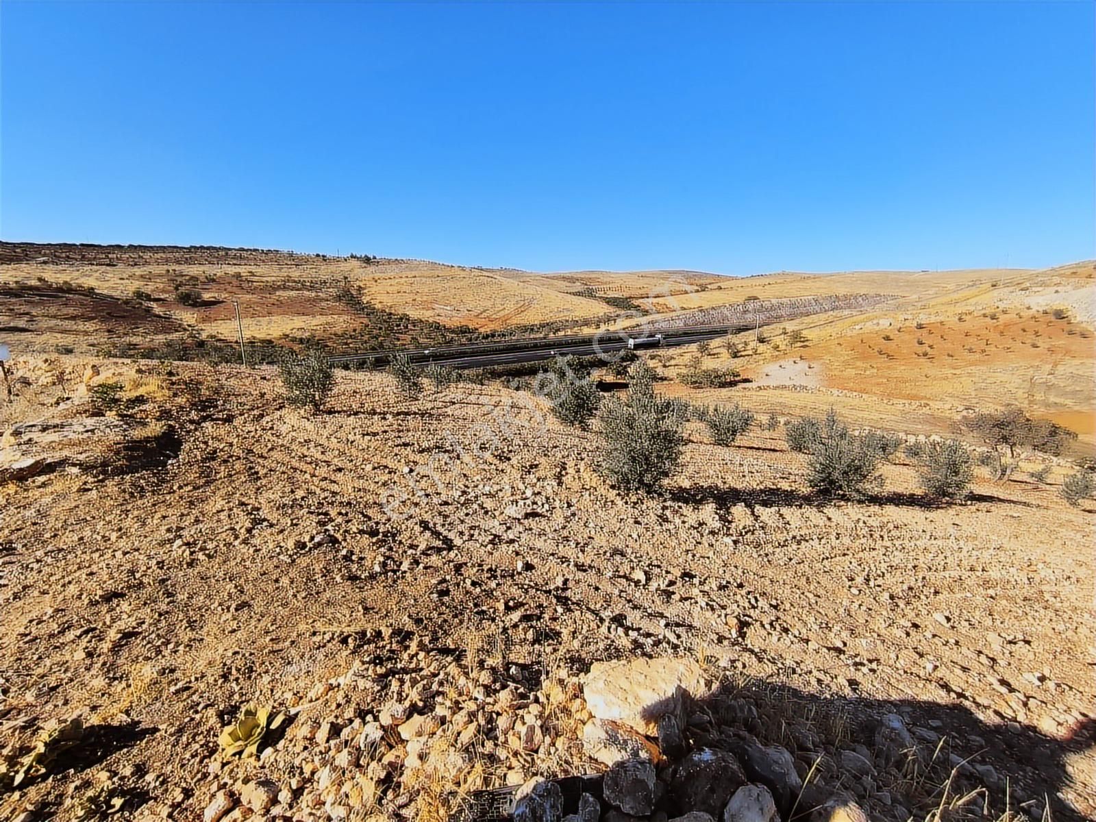 World İlkevim'den Örcünlüde Otobana Sıfır Satılık Fıstık Tarlası - Görsel 29
