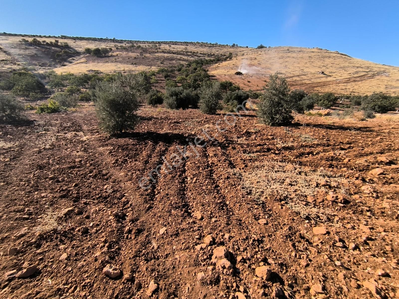World İlkevim'den Örcünlüde Otobana Sıfır Satılık Fıstık Tarlası - Görsel 28