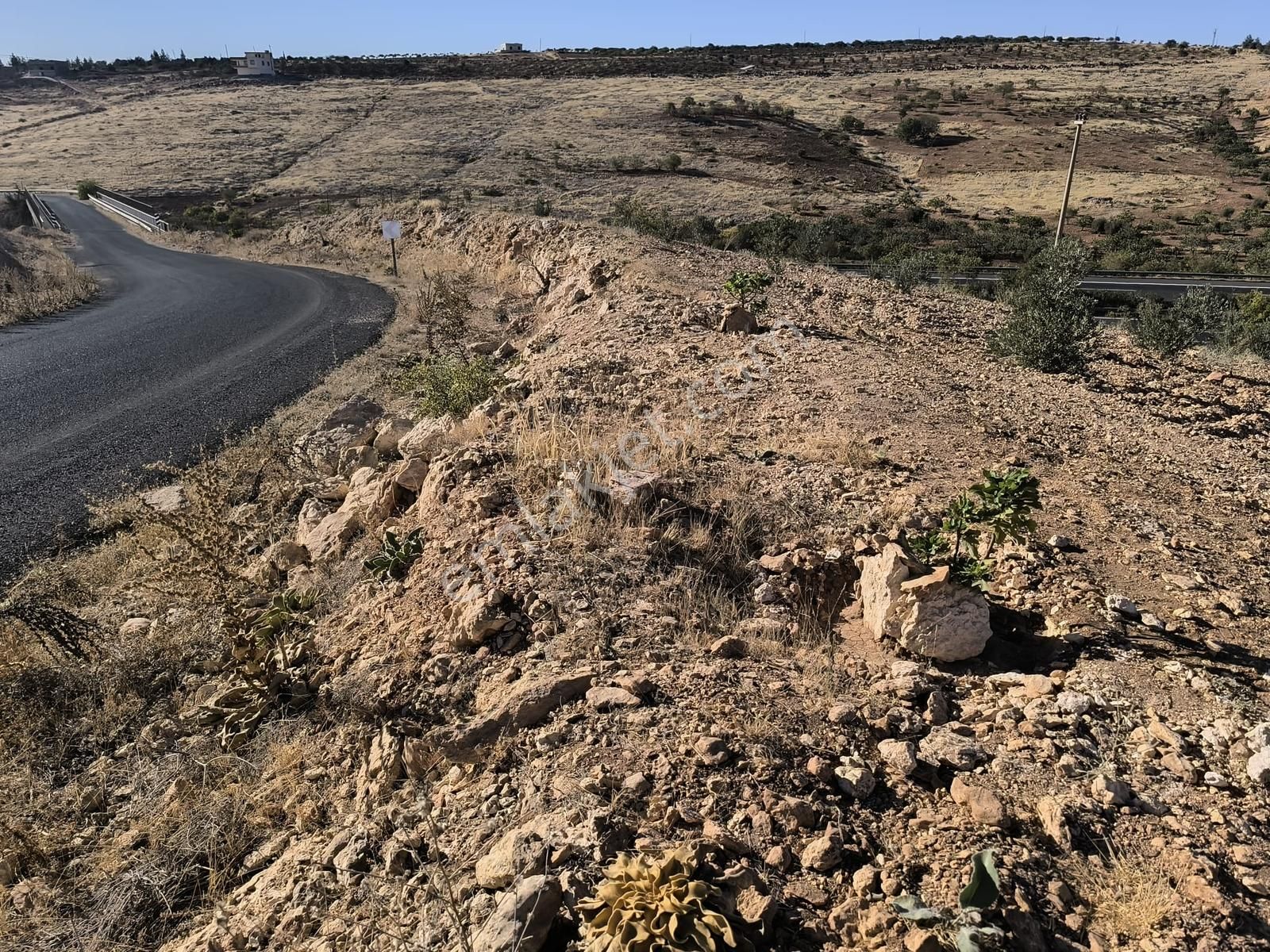 World İlkevim'den Örcünlüde Otobana Sıfır Satılık Fıstık Tarlası - Görsel 26