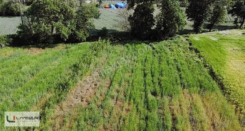 Uygar Gayrimenul'den Nilüfer Ürünlü'de Muhteşem Yatırımlık Tarla - Görsel 18