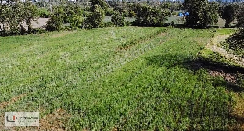 Uygar Gayrimenul'den Nilüfer Ürünlü'de Muhteşem Yatırımlık Tarla - Görsel 17
