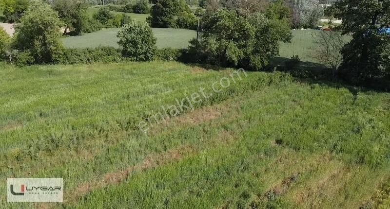 Uygar Gayrimenul'den Nilüfer Ürünlü'de Muhteşem Yatırımlık Tarla - Görsel 11