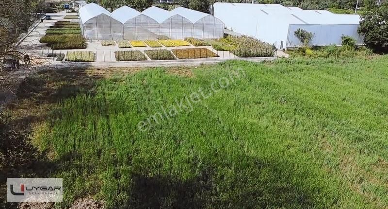 Uygar Gayrimenul'den Nilüfer Ürünlü'de Muhteşem Yatırımlık Tarla