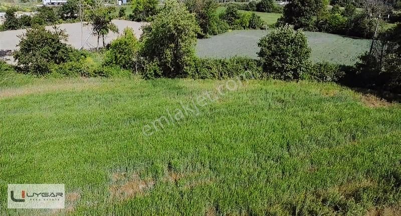 Uygar Gayrimenul'den Nilüfer Ürünlü'de Muhteşem Yatırımlık Tarla - Görsel 8