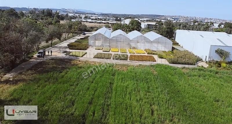 Uygar Gayrimenul'den Nilüfer Ürünlü'de Muhteşem Yatırımlık Tarla - Görsel 9