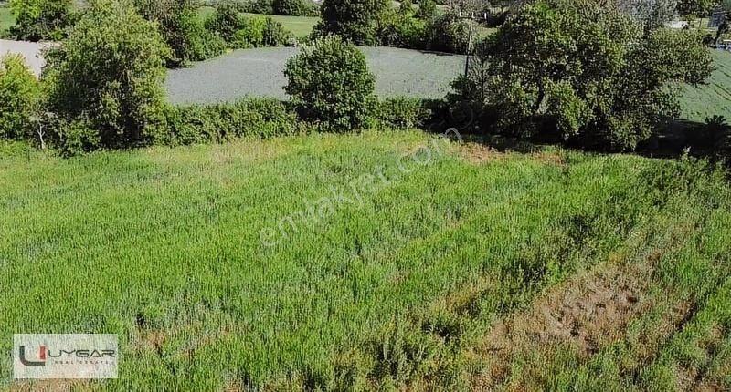 Uygar Gayrimenul'den Nilüfer Ürünlü'de Muhteşem Yatırımlık Tarla - Görsel 4
