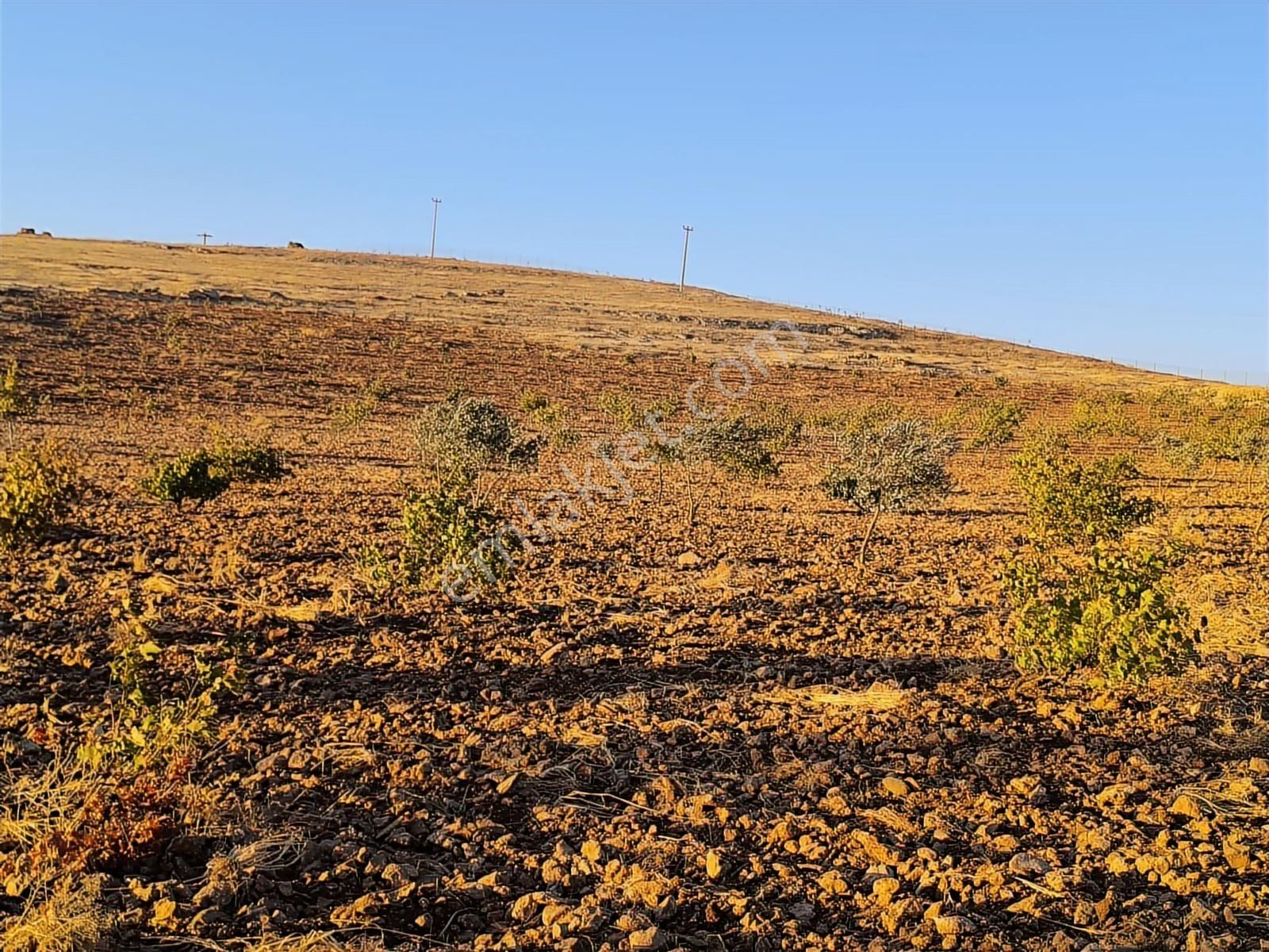World İlkevim'den Çevre Yolunun Köşesinde Satılık Bağ Evi - Görsel 16