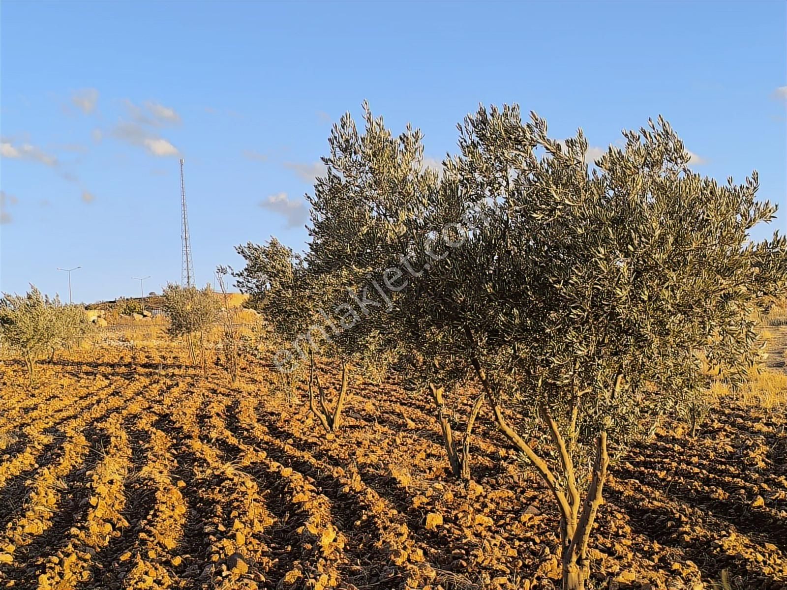 World İlkevim'den Çevre Yolunun Köşesinde Satılık Bağ Evi - Görsel 19