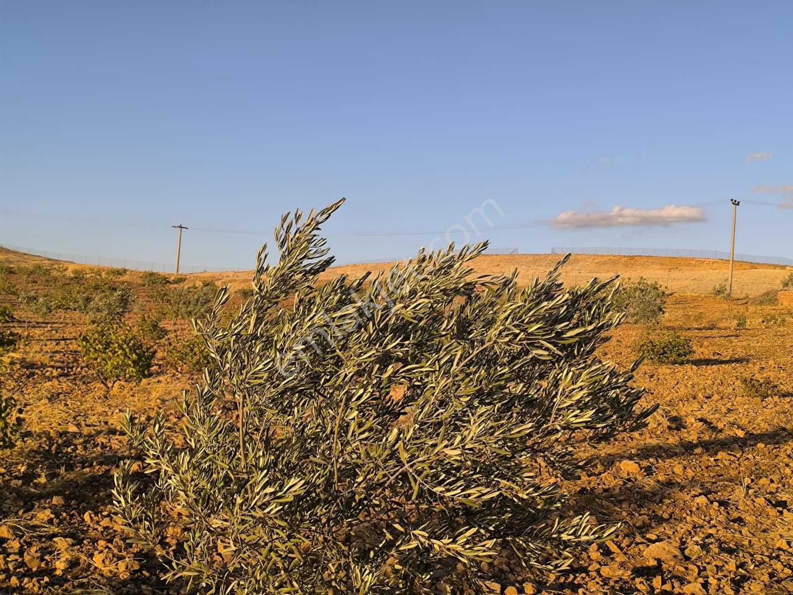 World İlkevim'den Çevre Yolunun Köşesinde Satılık Bağ Evi - Görsel 25