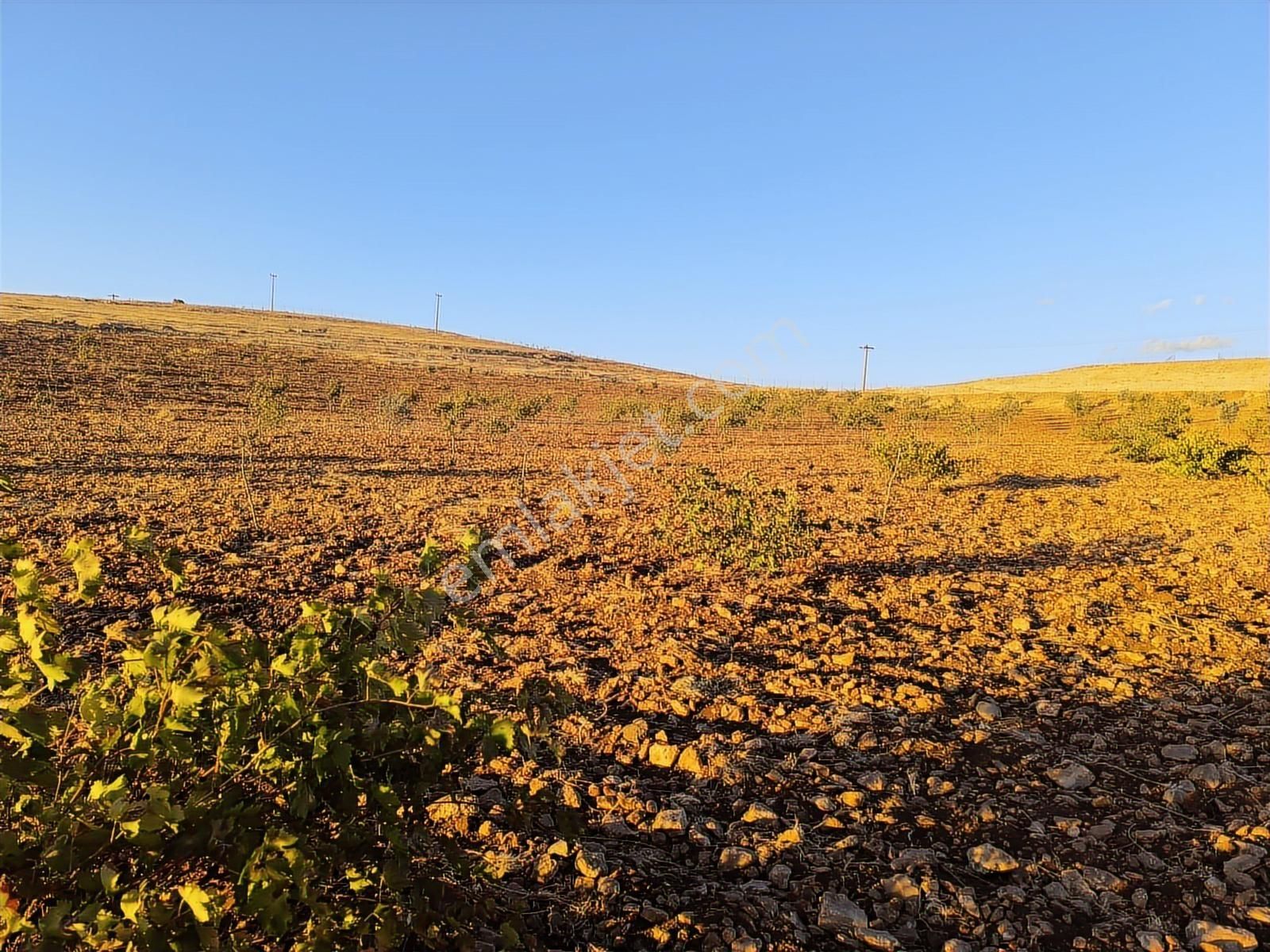 World İlkevim'den Çevre Yolunun Köşesinde Satılık Bağ Evi - Görsel 6