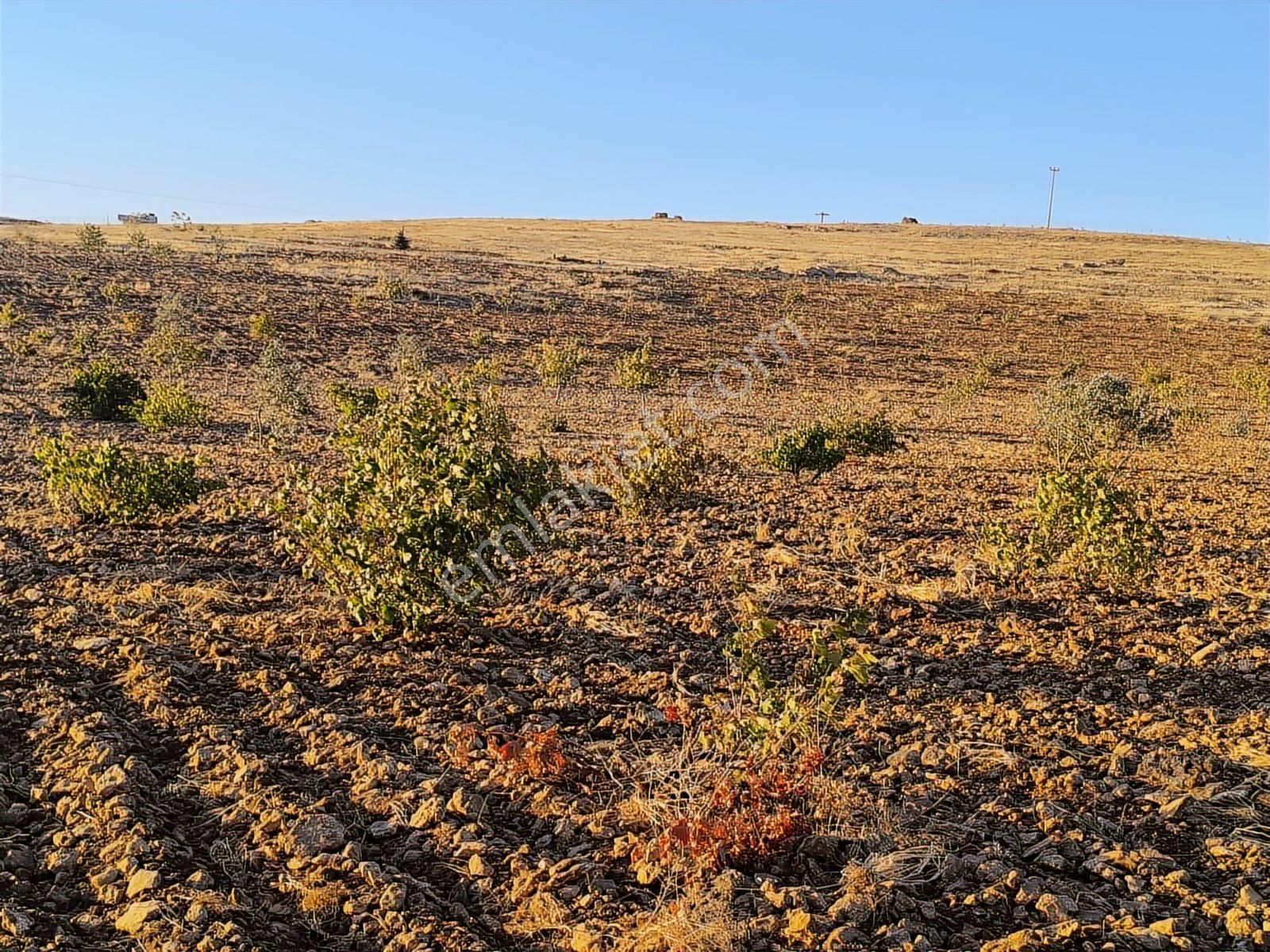 World İlkevim'den Çevre Yolunun Köşesinde Satılık Bağ Evi - Görsel 8