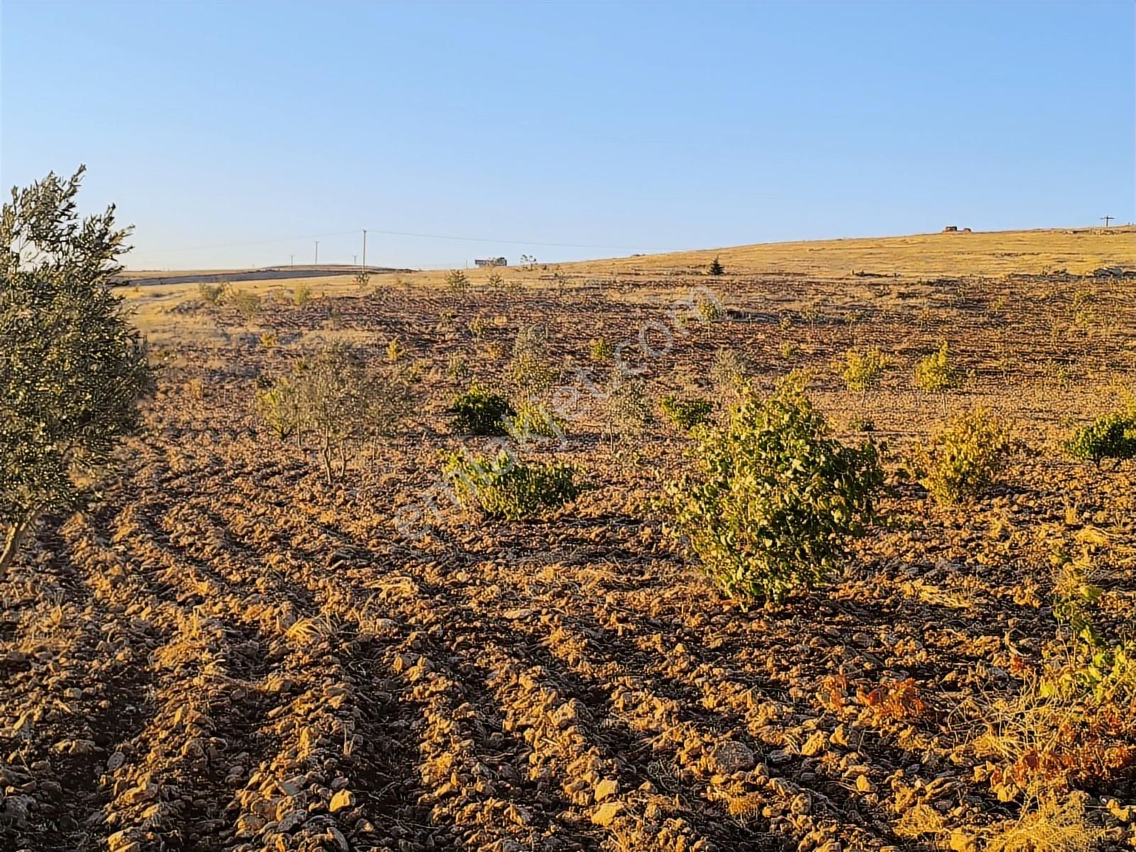 World İlkevim'den Çevre Yolunun Köşesinde Satılık Bağ Evi - Görsel 27