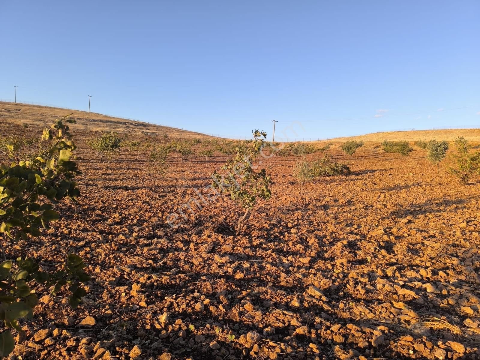 World İlkevim'den Çevre Yolunun Köşesinde Satılık Bağ Evi - Görsel 15