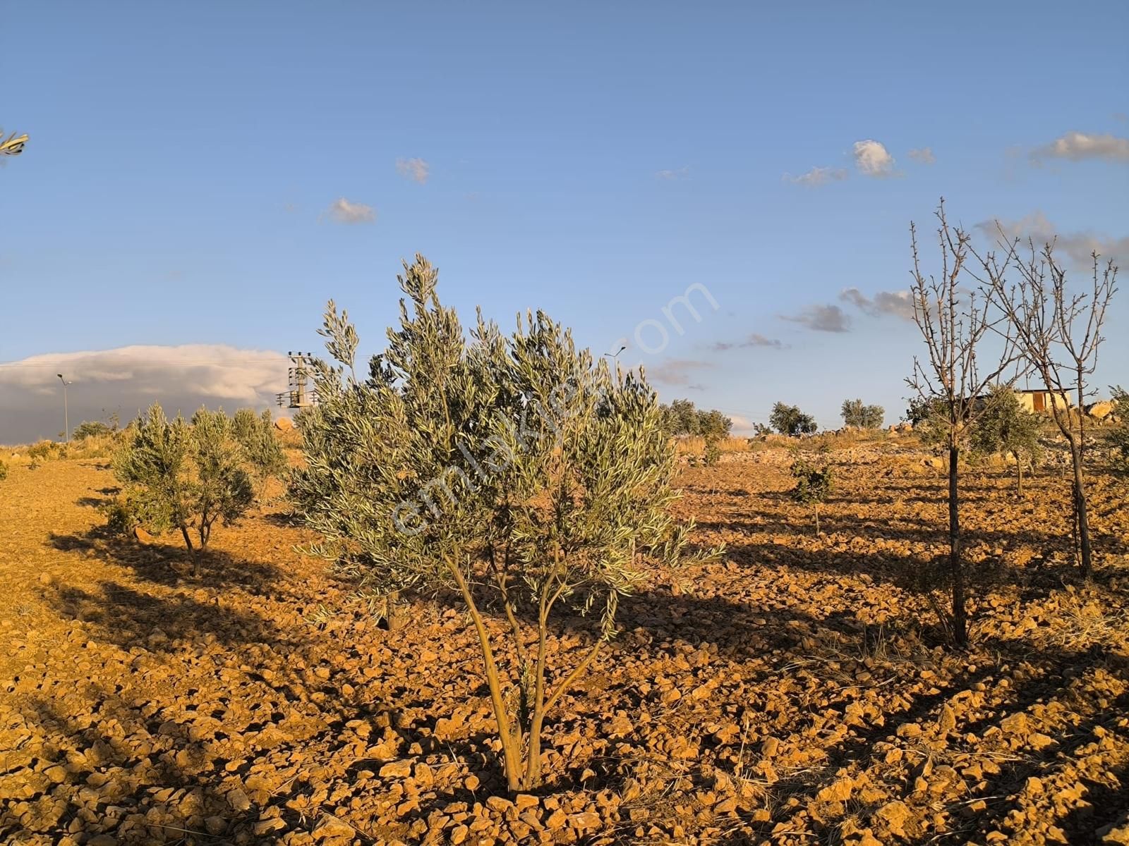 World İlkevim'den Çevre Yolunun Köşesinde Satılık Bağ Evi - Görsel 21