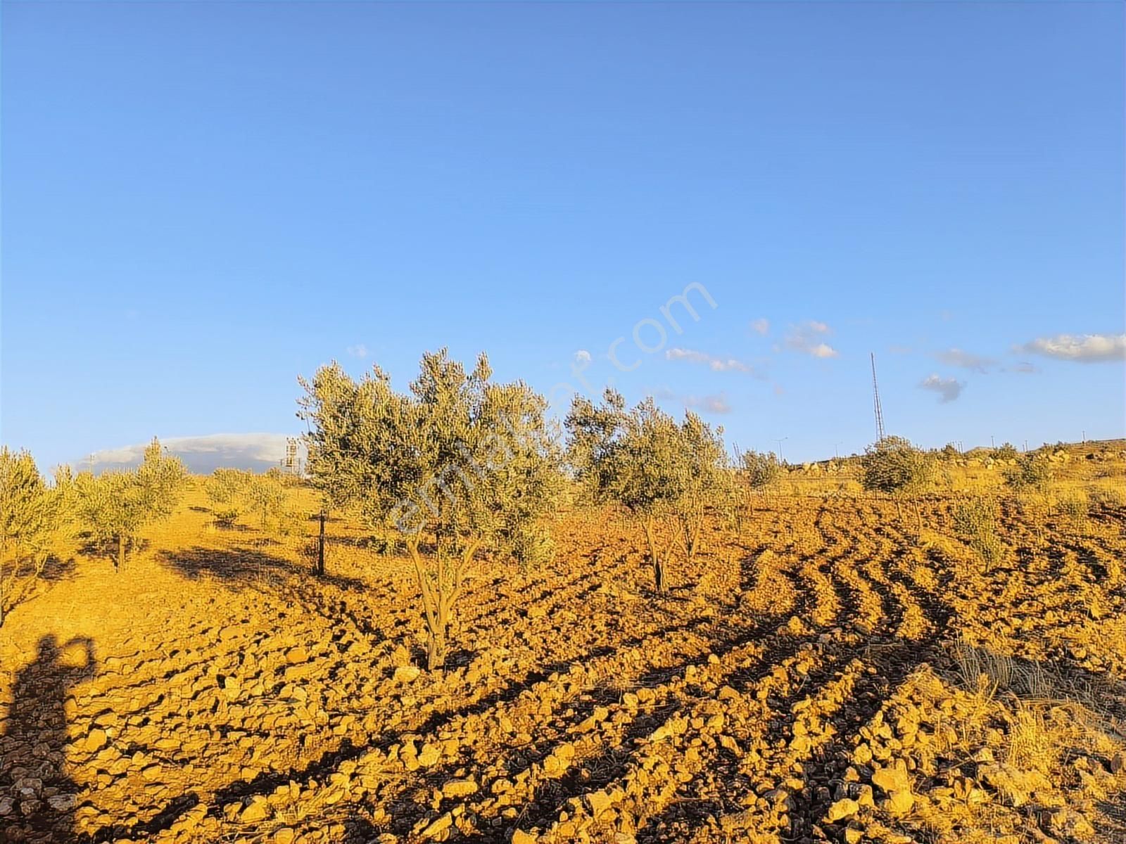 World İlkevim'den Çevre Yolunun Köşesinde Satılık Bağ Evi - Görsel 32