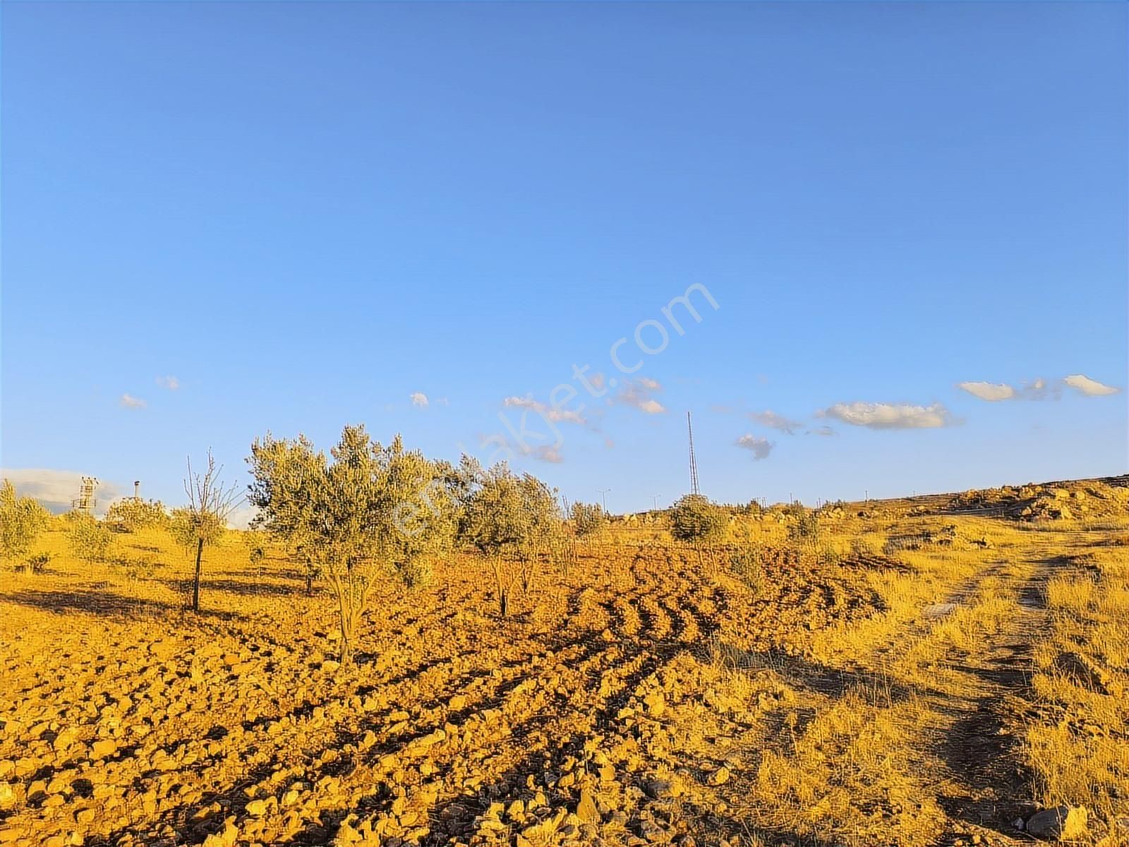 World İlkevim'den Çevre Yolunun Köşesinde Satılık Bağ Evi - Görsel 31