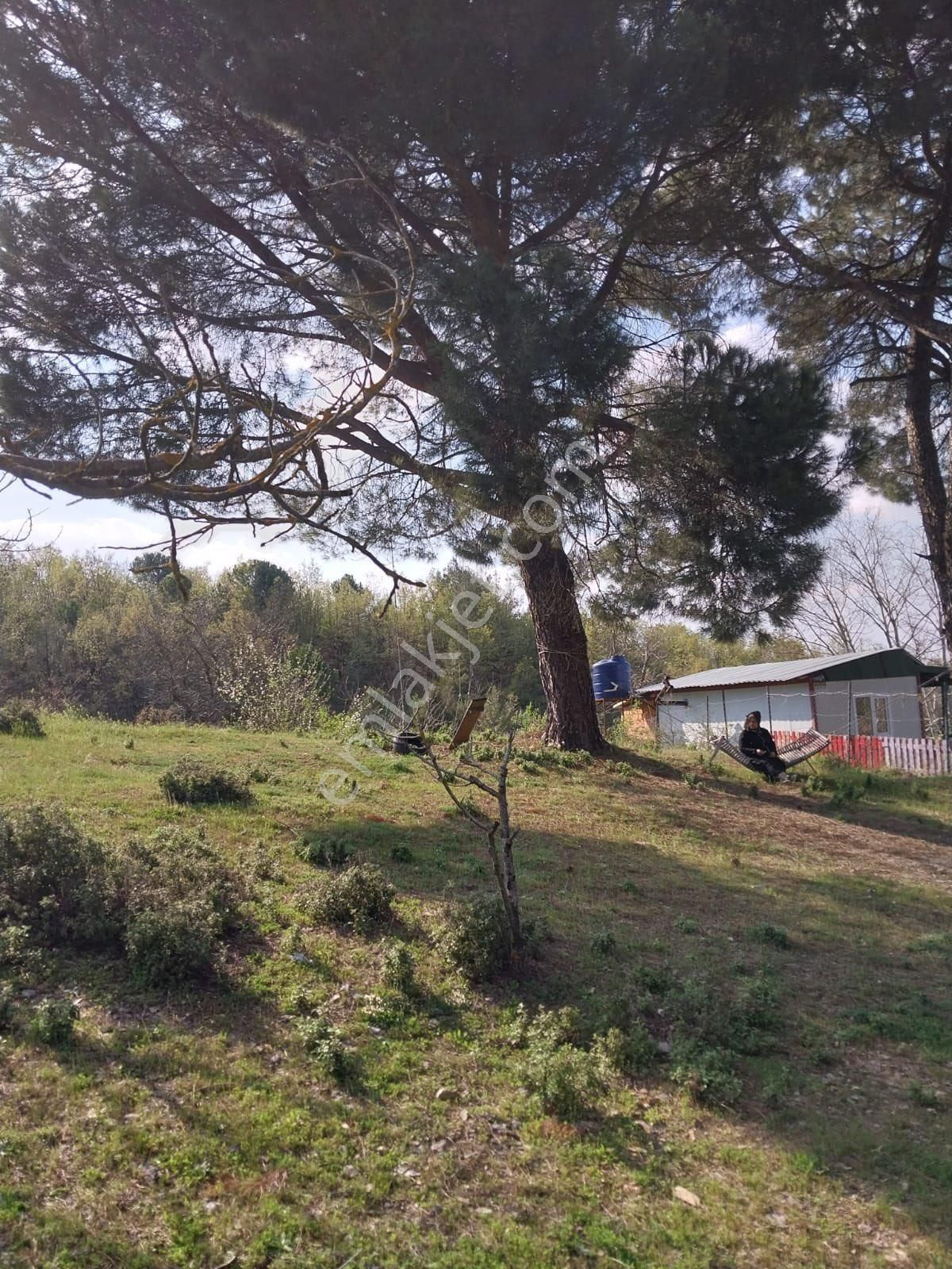 Manisa Turgutlu Dağyeniköy’de Seçkin Bir Yaşam Ve Yatırım Fırsatı - Görsel 3