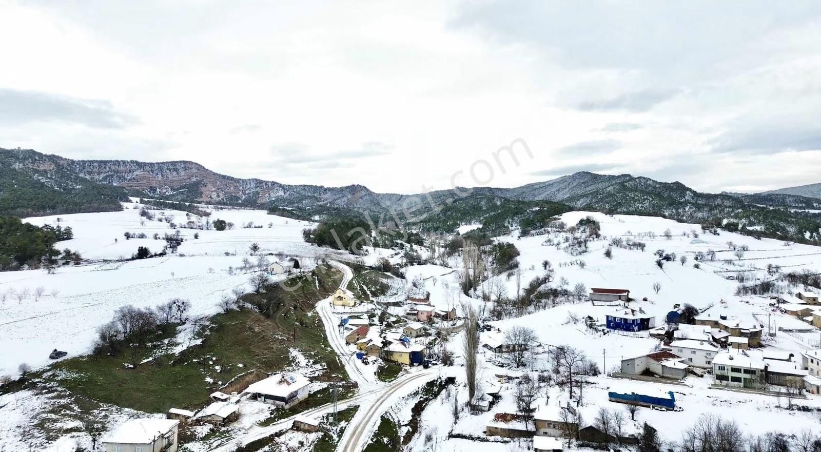 Göynük Kızılkuyu Köyünde Köyiçi 550 M2 Bahçe - Görsel 3