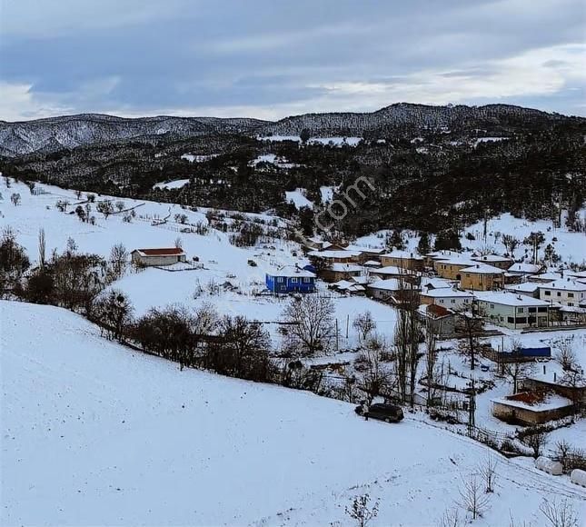 Göynük Kızılkuyu Köyünde Köyiçi 550 M2 Bahçe - Görsel 4