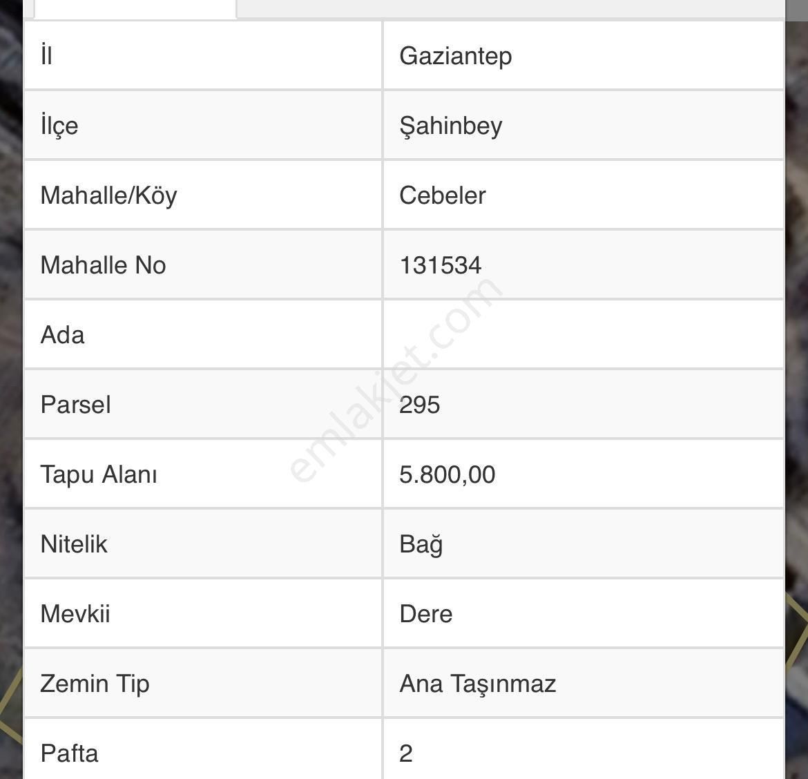 Millioğlu'ndan Cebeler Yatırımlık Fırsat Arazileri
