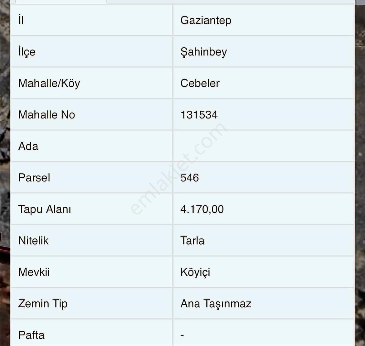 Millioğlu'ndan Cebeler Yatırımlık Fırsat Arazileri - Görsel 3