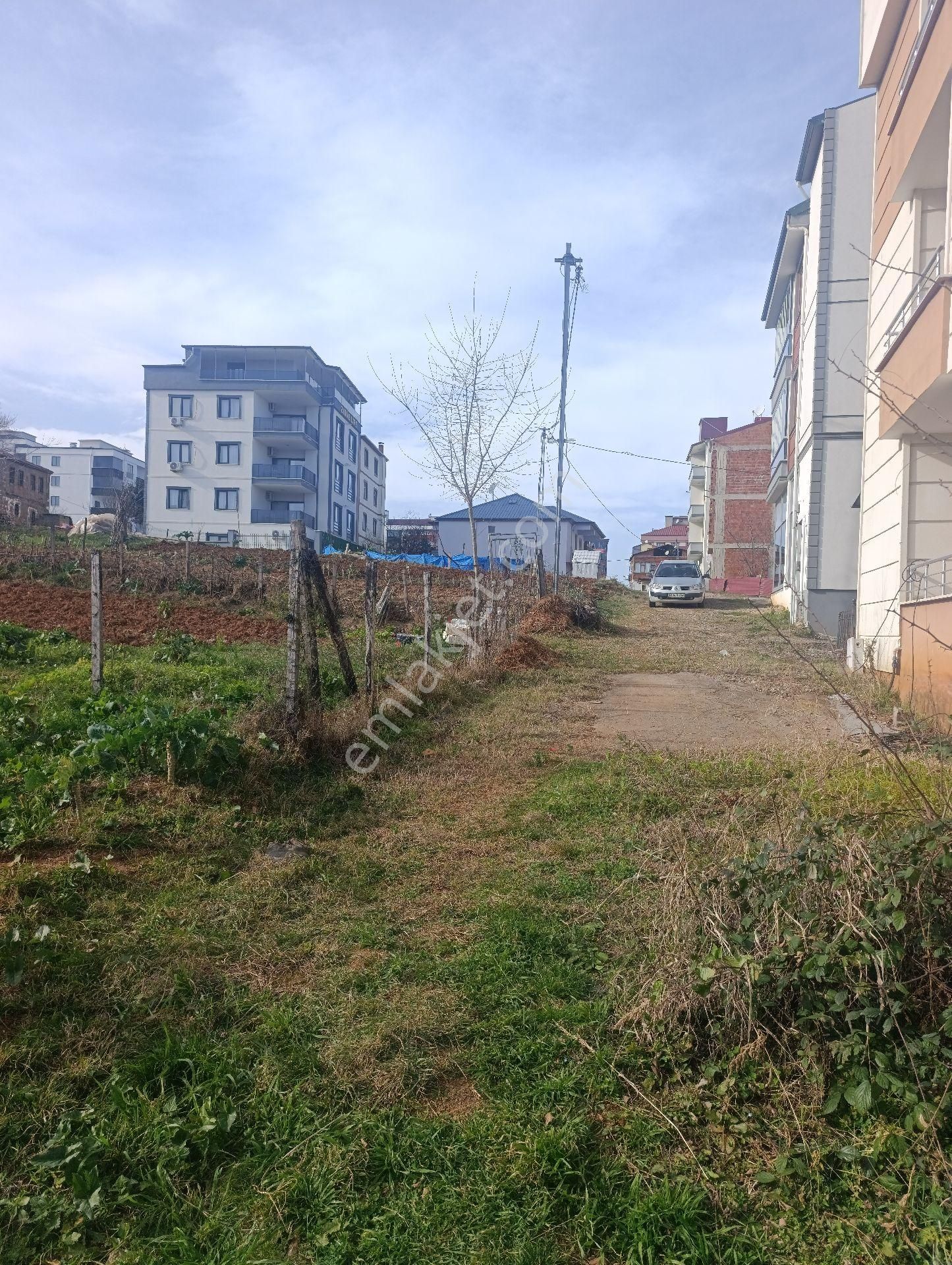 Pelitli Bölgesinde Toki Konutlarının Yanında Satılık İmarlı Arsa