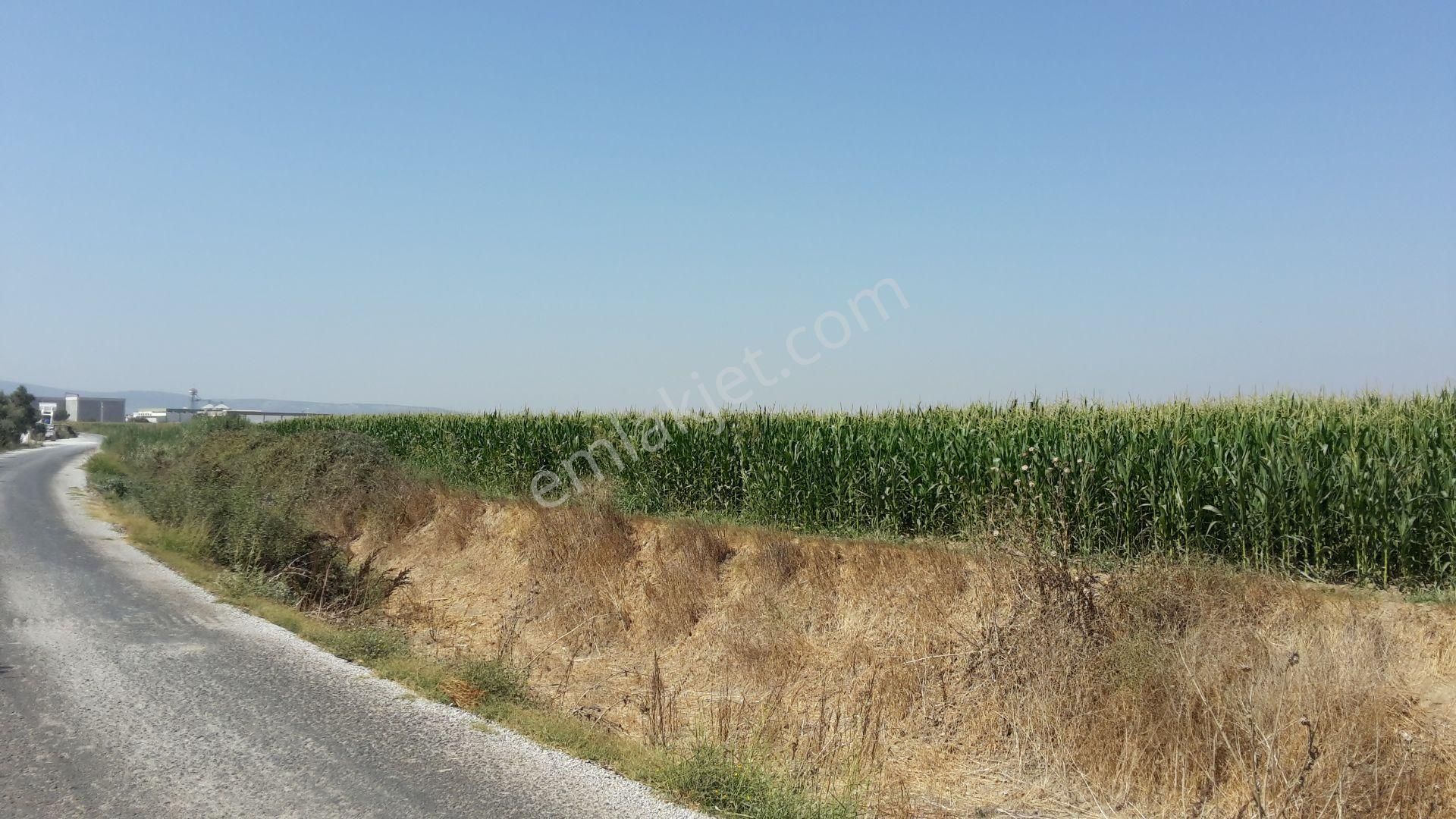 Torbalı Emlak' Tan Çaybaşı Mah. Yatırımiçin Uygun 5.000m2müstakil Parsel Arazimiz Satılıktır - Görsel 5