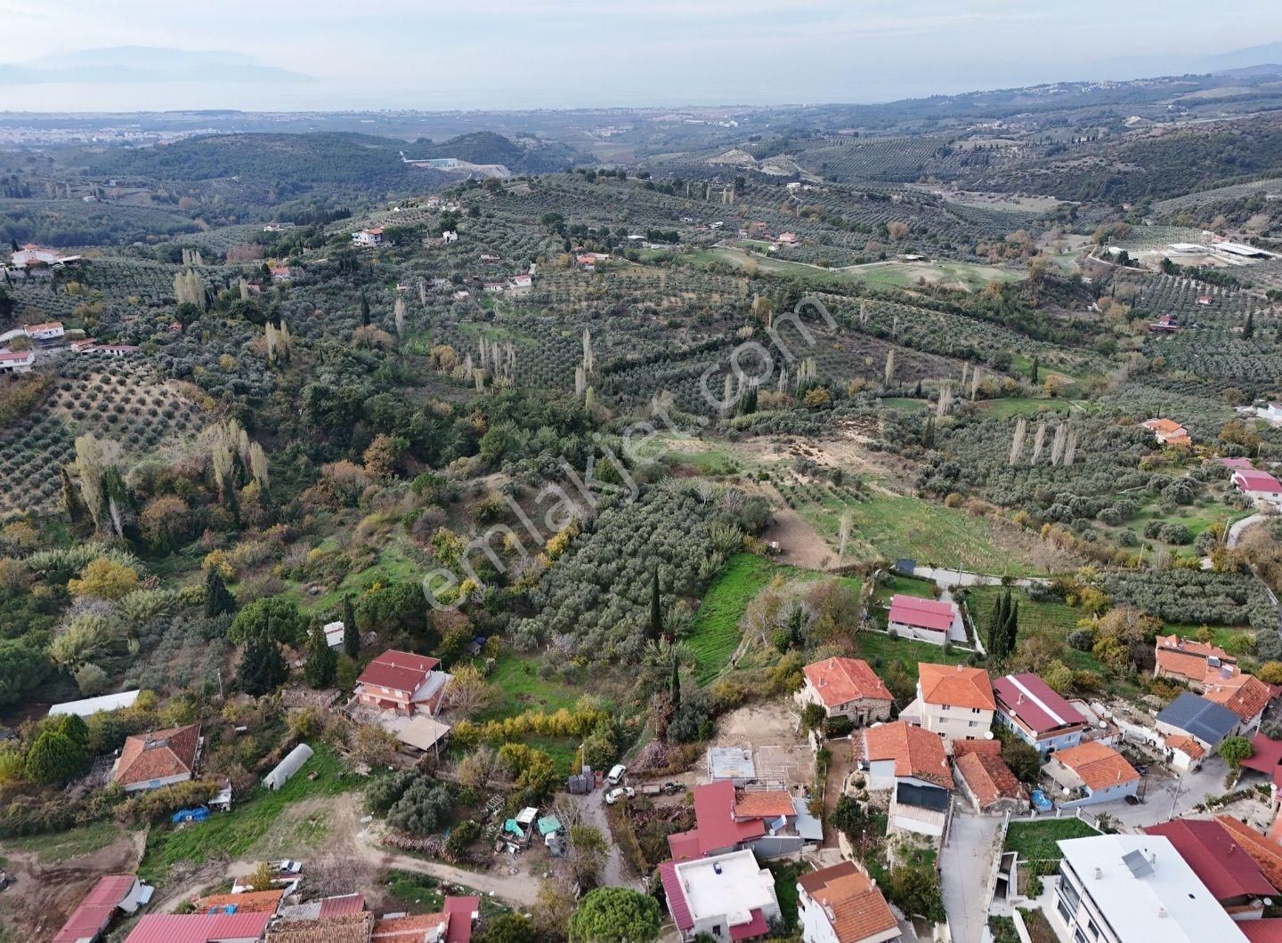 Aydın Söke Ağaçlı Villa İmarlı Arsa - Görsel 6