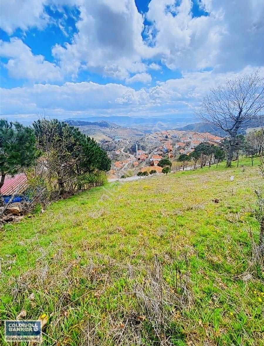 İzmir Bergama'da Koyiçi 736 M2 Muhteşem Manzaralı Arazi