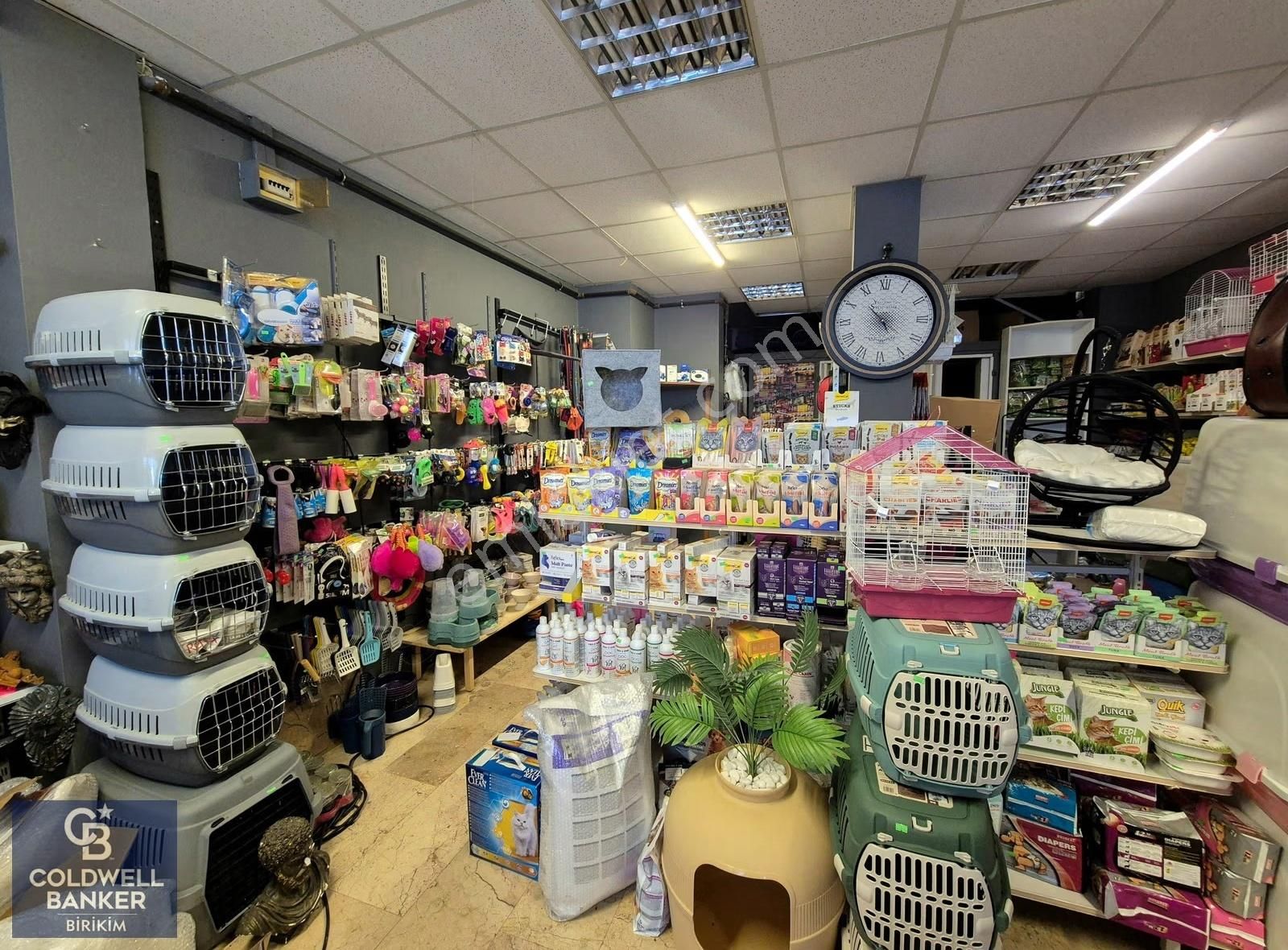 Maltepe Girne'de İşlek Lokasyonda Devren Petshop