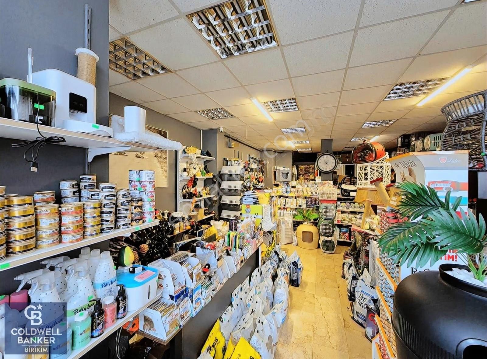 Maltepe Girne'de İşlek Lokasyonda Devren Petshop - Görsel 5