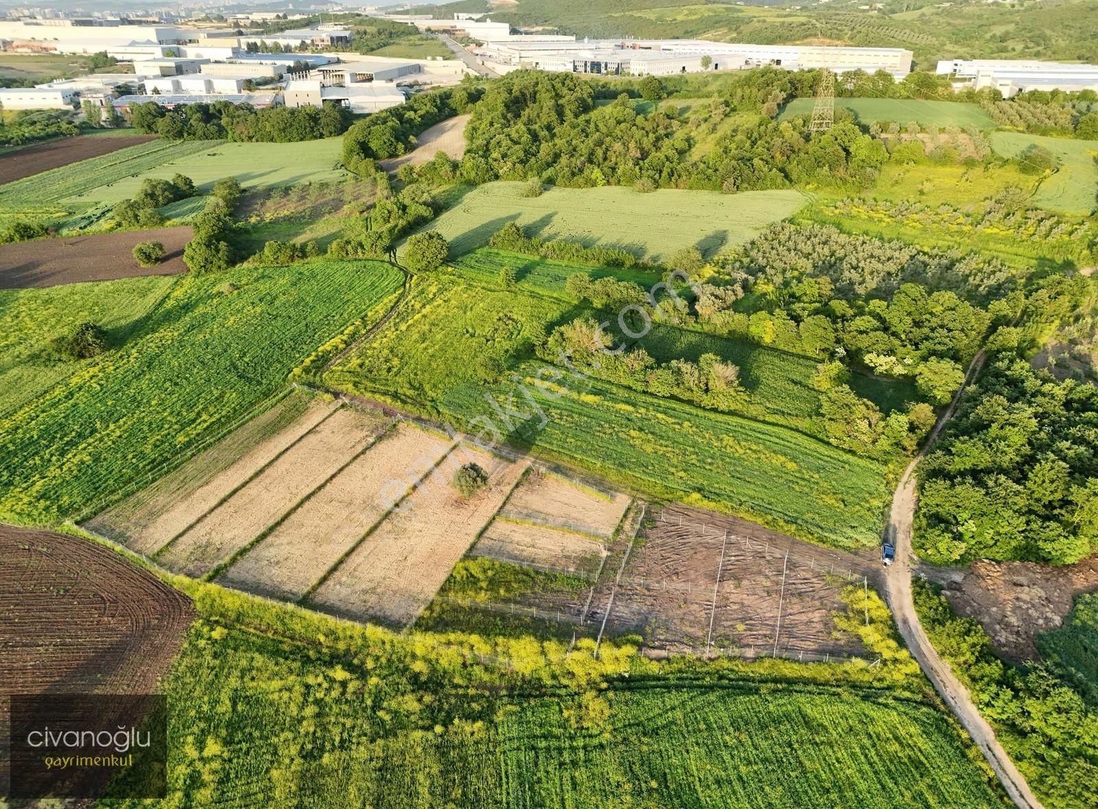 Nilüfer Akçalar 'ın Gözde Bölgesinde Satılık Araziler - Görsel 18