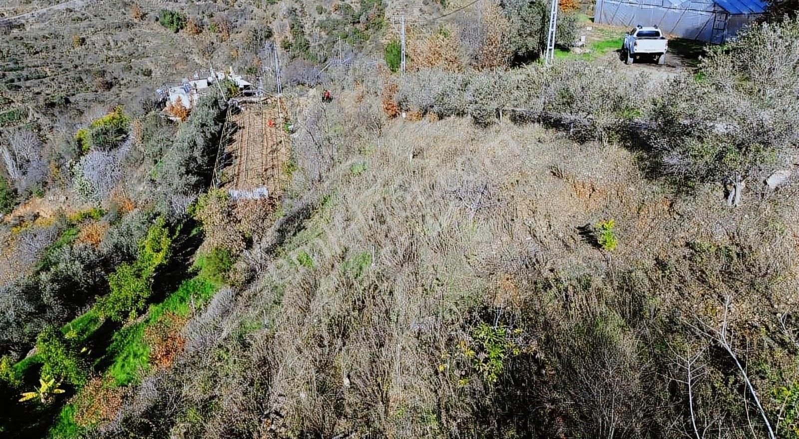 Alanya Soğukpınar Mahallesi'nde 2319 Metre² Arsamız Satılıktır