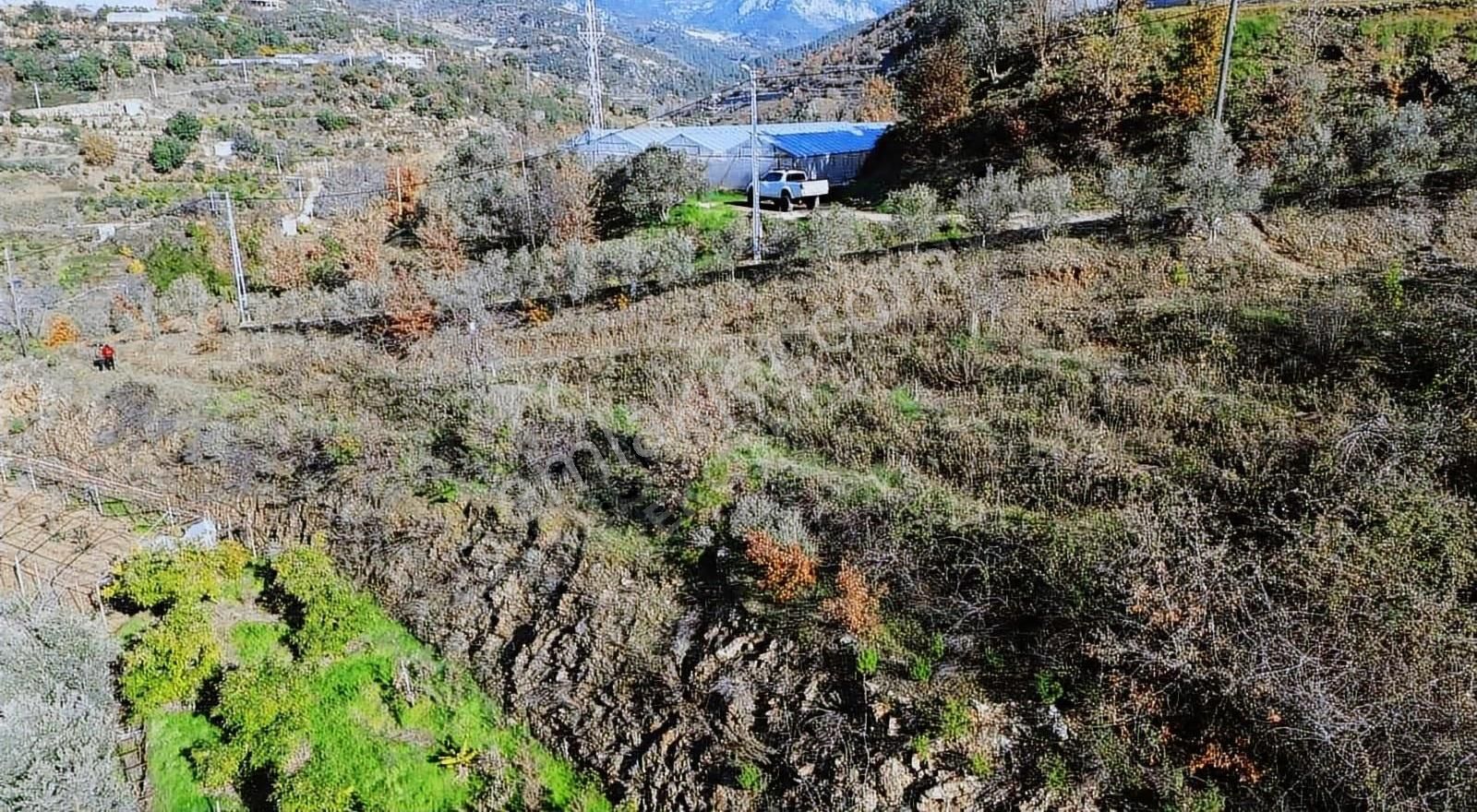 Alanya Soğukpınar Mahallesi'nde 2319 Metre² Arsamız Satılıktır - Görsel 9