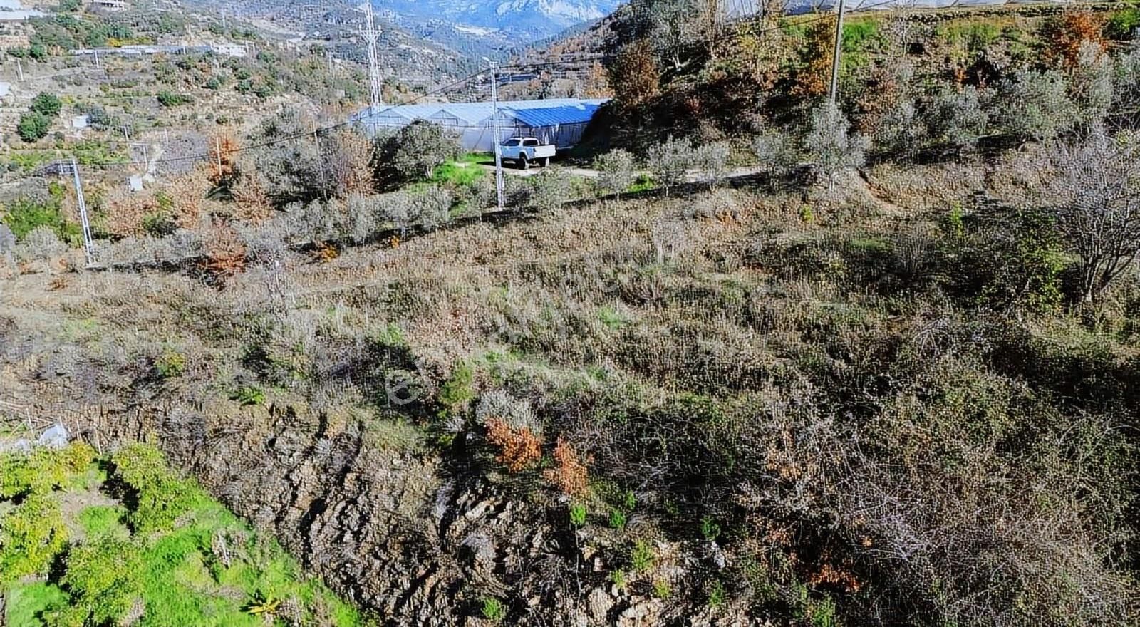 Alanya Soğukpınar Mahallesi'nde 2319 Metre² Arsamız Satılıktır - Görsel 4